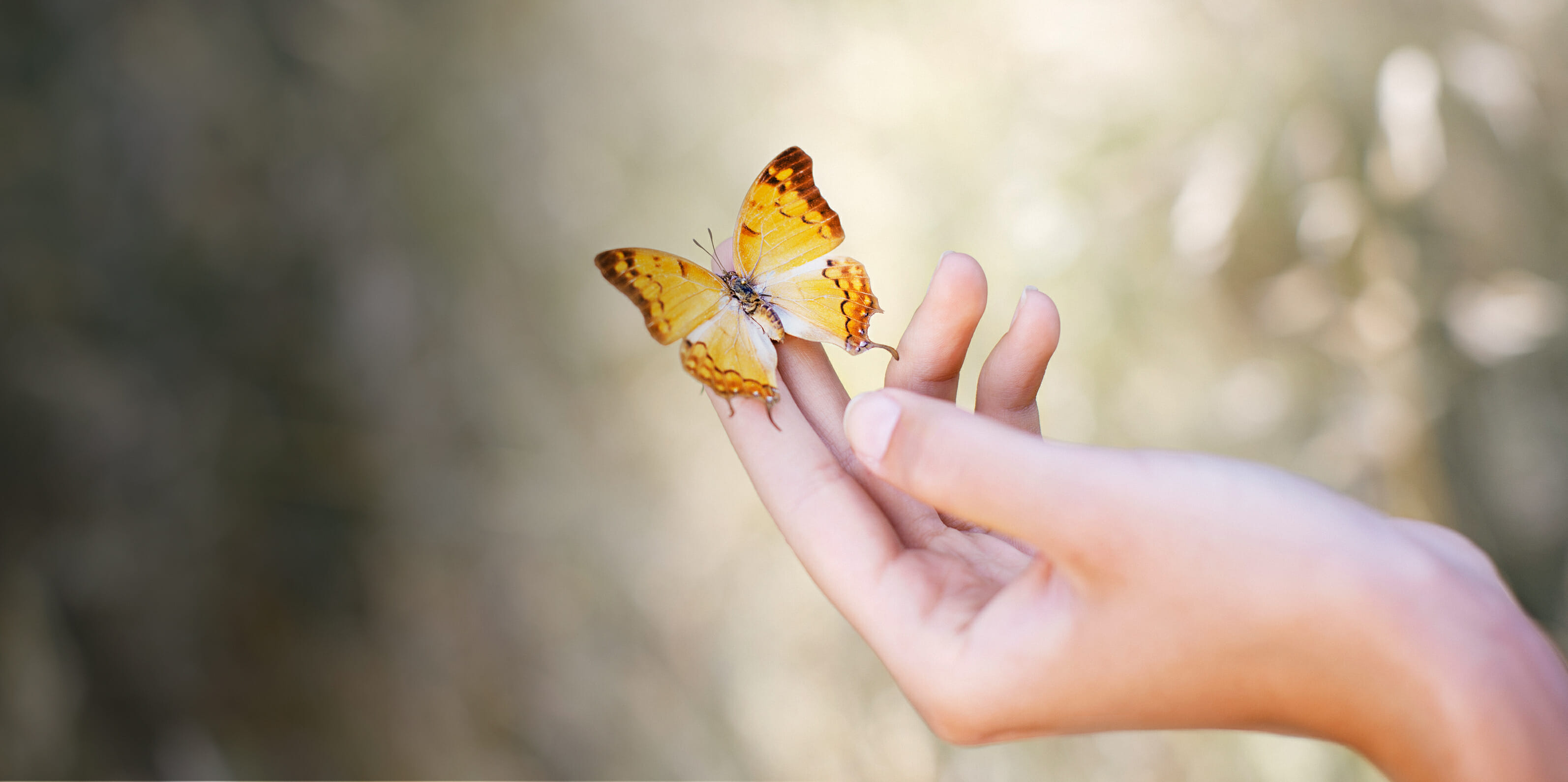 Butterfly in hand with peace of mind at MorseLife Hospice End of Life comfort care, dignity, celebrating life. Mobile life