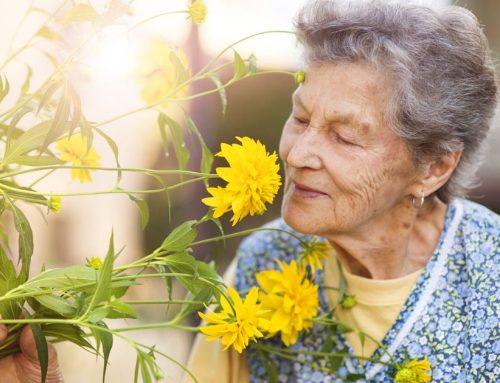 What is Assisted Living?