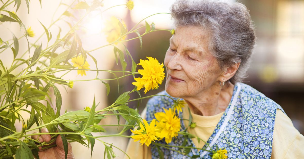 What is Assisted Living?