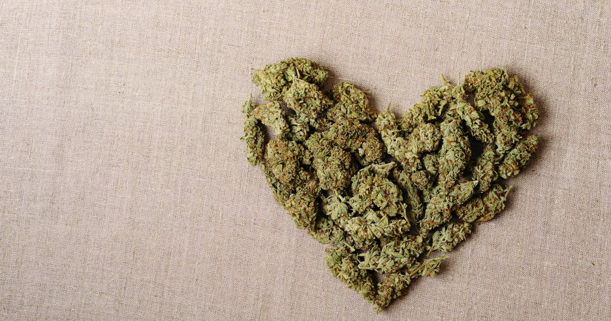 Cannabis, Cognition, and Care