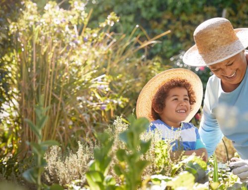 Finding Purpose in Life After 65: How Independent Living Inspires Your Next Chapter