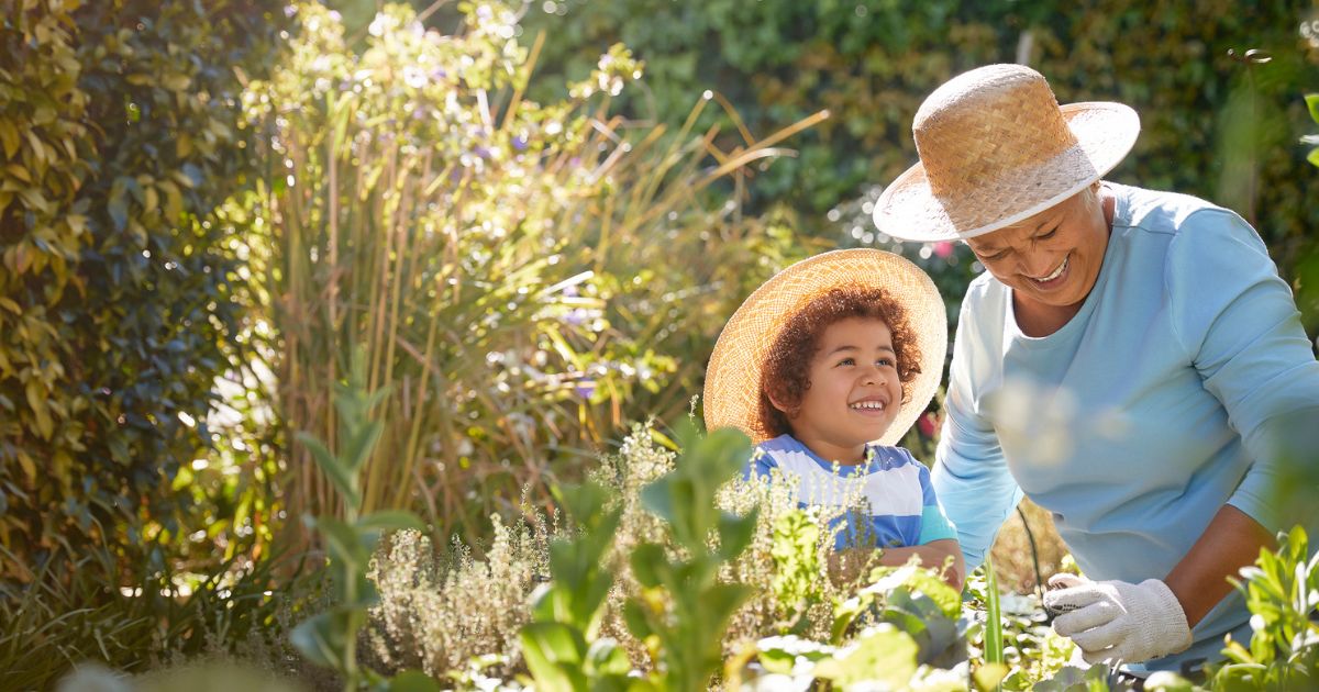 Finding Purpose in Life After 65