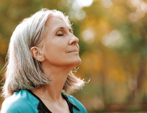 Prevention is the Best Medicine: How Wellness Programs Reduce Health Risks in Aging